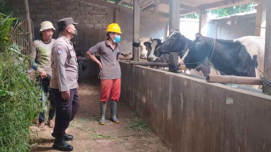 sembuh dengan air kunyit