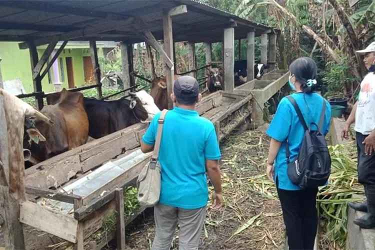 Pemantauan Penyakit Hewan Ternak