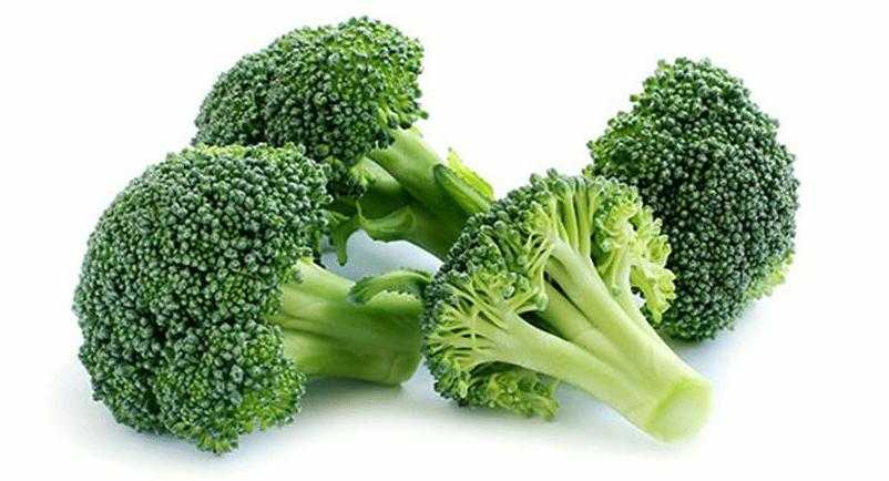 Syarat Tumbuh Tanaman Brokoli Yang Harus Petani Ketahui