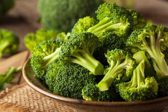 Pelajari Klasifikasi dan Morfologi Tanaman Brokoli