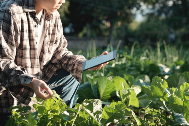 Digitalisasi pertanian Indonesia