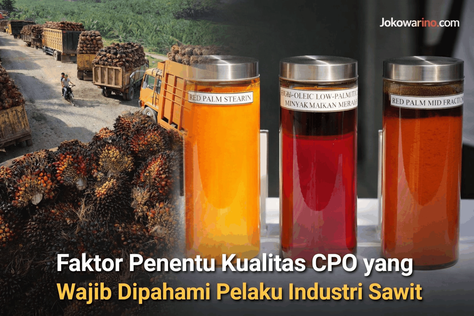 12 Faktor Penentu Kualitas CPO yang Wajib Dipahami Pelaku Industri Sawit