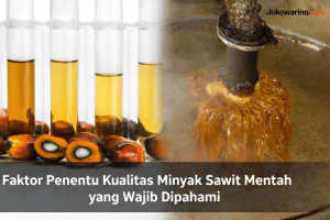 Faktor Penentu Kualitas Minyak Sawit Mentah yang Wajib Dipahami