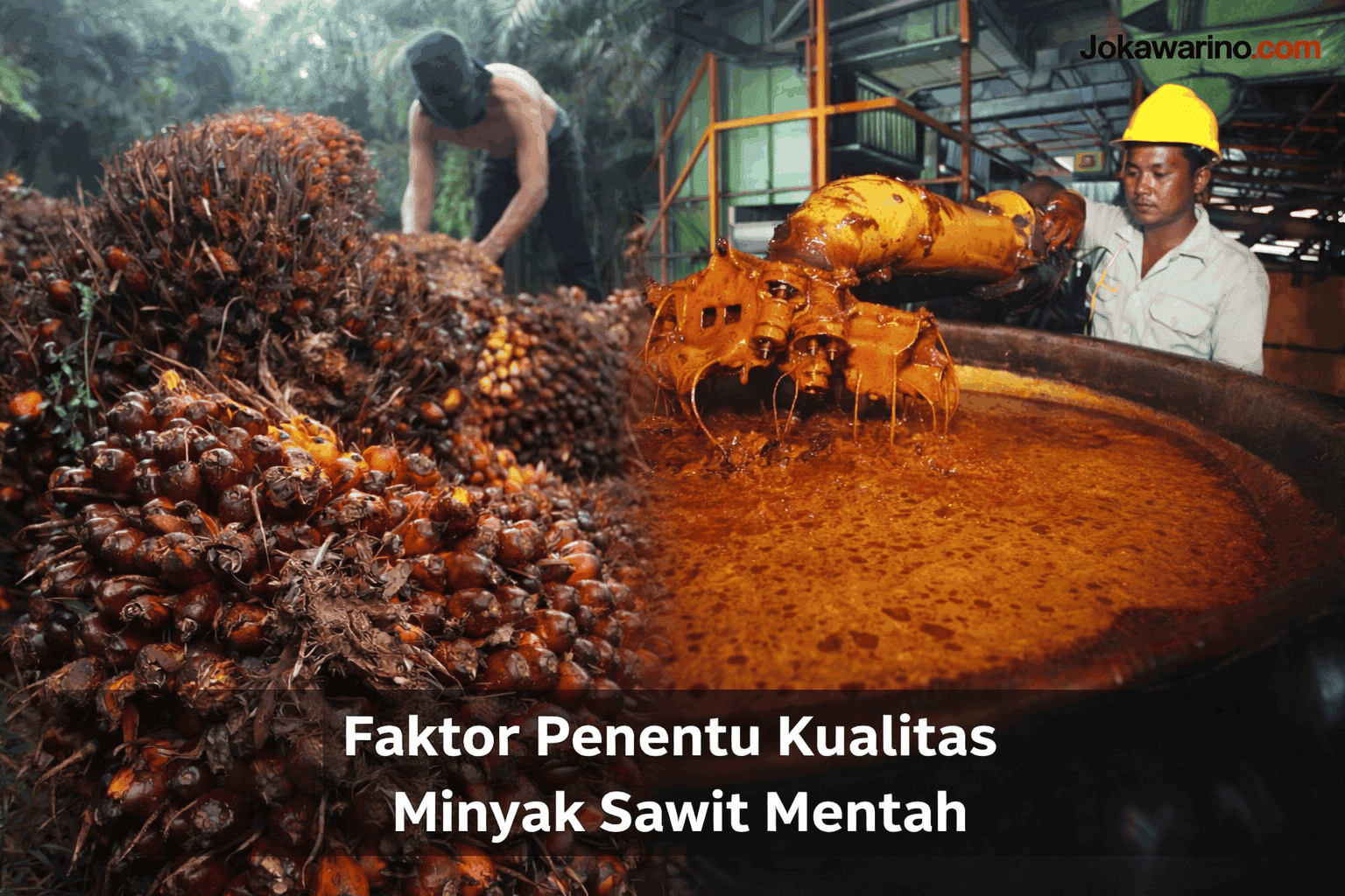 Faktor Penentu Kualitas Minyak Sawit Mentah