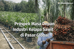 Pahami 10 Prospek Masa Depan Industri Kelapa Sawit di Pasar Global