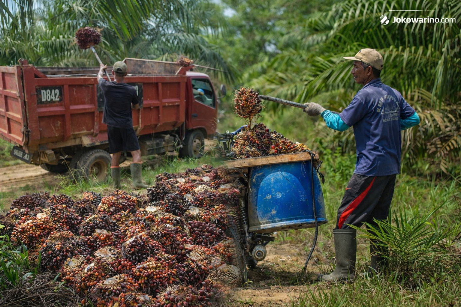 Prospek Masa Depan Industri Kelapa Sawit